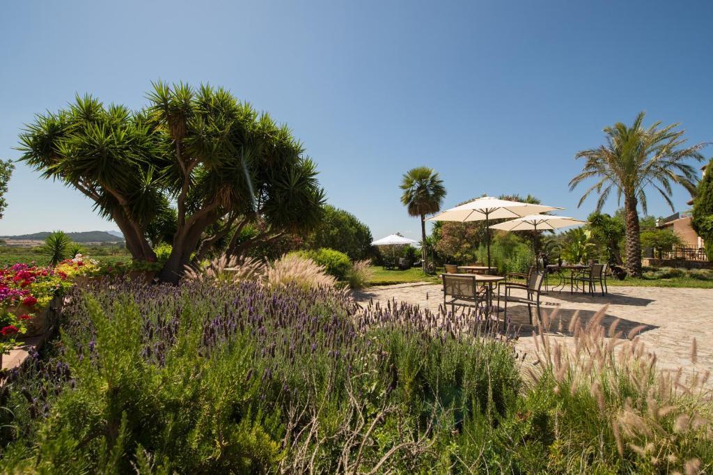 Agroturismo Can Feliu Porreres Bagian luar foto
